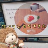 【しょうゆきゃふぇ】神奈川県銘菓指定の「生プリン」を食べてきた