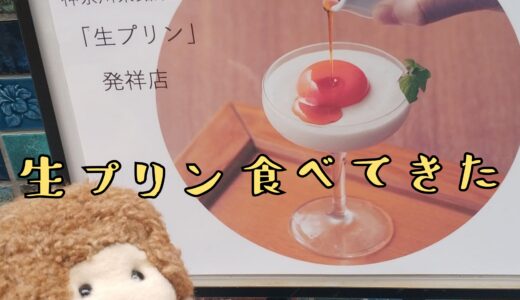 【しょうゆきゃふぇ】神奈川県銘菓指定の「生プリン」を食べてきた